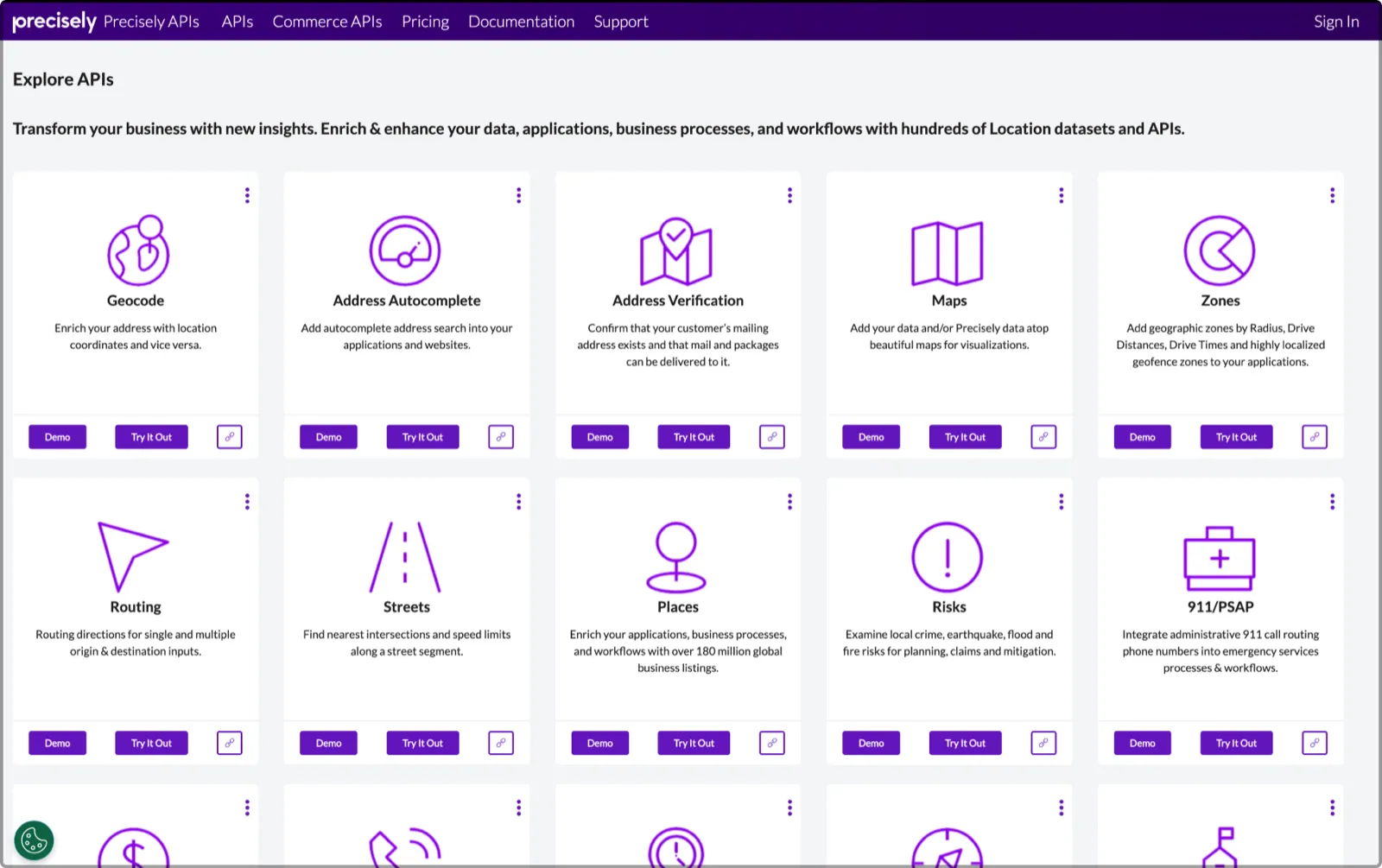 Old Precisely APIs portal showing an Explore APIs grid