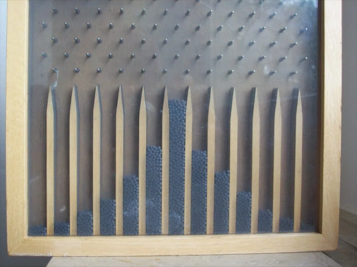 A Galton box, where balls dropped through rows of pegs collect in columns below to form a bell-shaped pile.